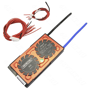 BMS LiFePO4 SMART 12s 36v 60A common port